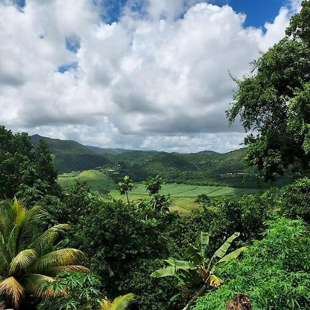 Appartement T2 Le Vallon Au Marin Martinique Le Marin Екстериор снимка